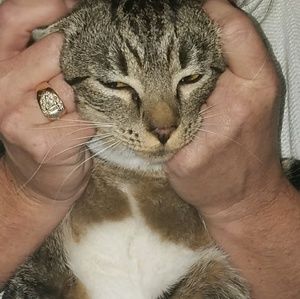 Meet your Posher, Hudson